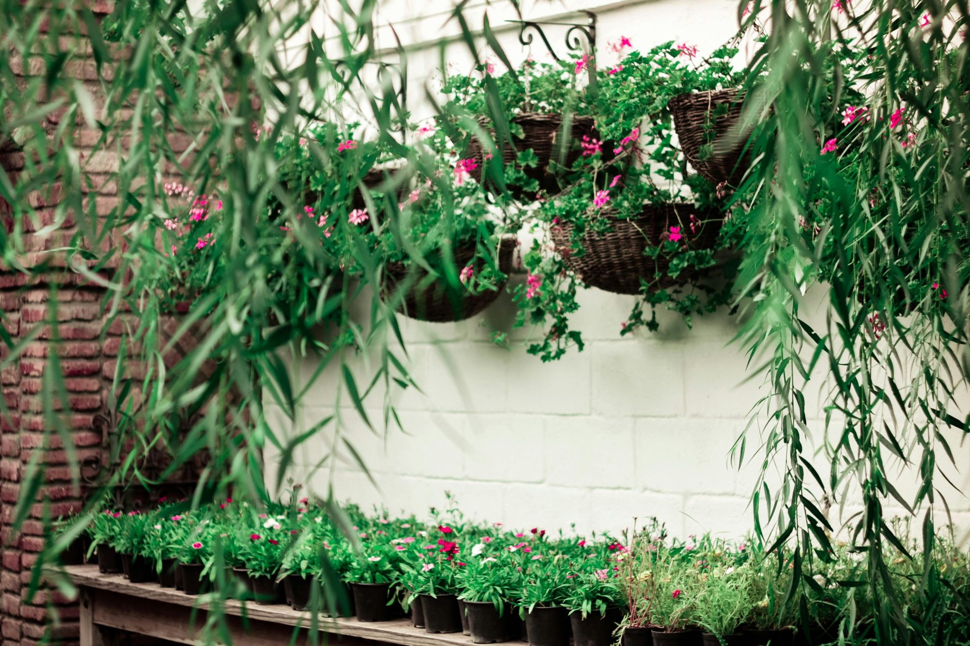 Scène de jardin luxuriante avec des fleurs colorées en pots et en paniers suspendus, idéale pour trouver l'inspiration en matière de décoration extérieure.