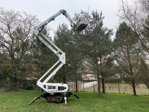 Elagage et destruction de nid de chenilles processionnaires